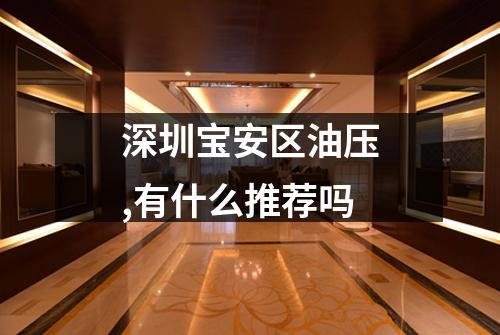 深圳宝安区油压,有什么推荐吗